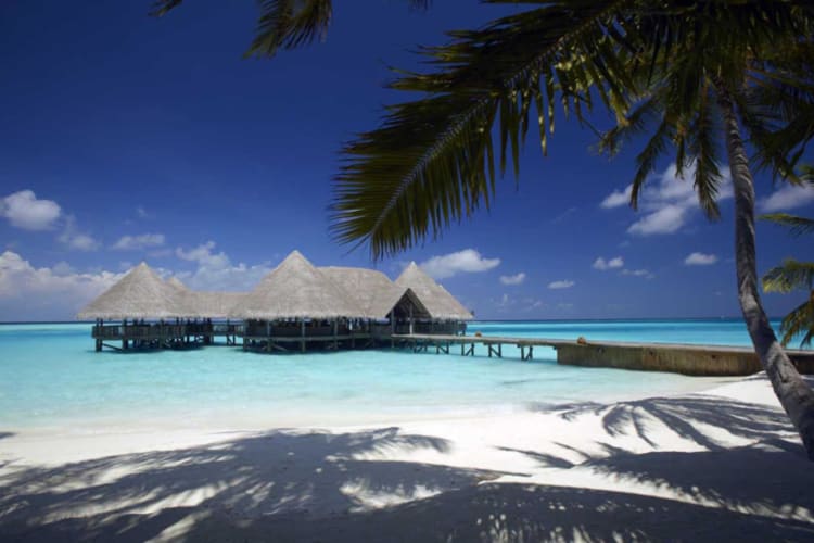 Island view